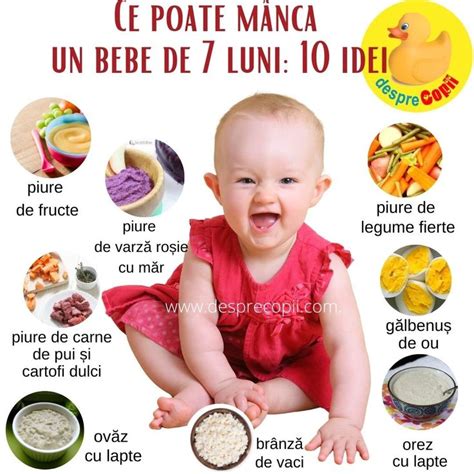 Infograficuri despre etapele diversificării, texturi recomandate la diferite luni și exemple de alimente