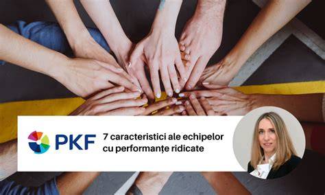 Grafic: 12 considered needs ale echipelor împlinite prin management