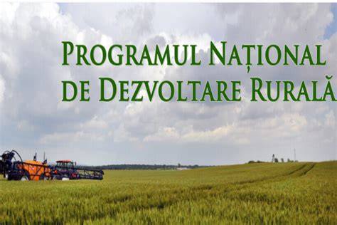 Infografic despre traseele de dezvoltare rurală: educație, economie locală, ecoturism