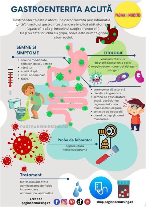 Infografic: Faze ale recuperării după gastroenterită la copii