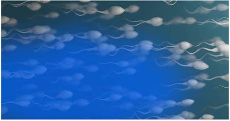 Infografic: etapelor diagnosticului infertilității masculine