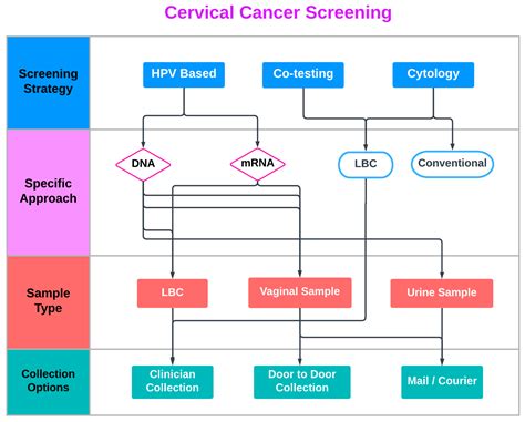 Infografic: scales of cervical cancer stages and screening workflow