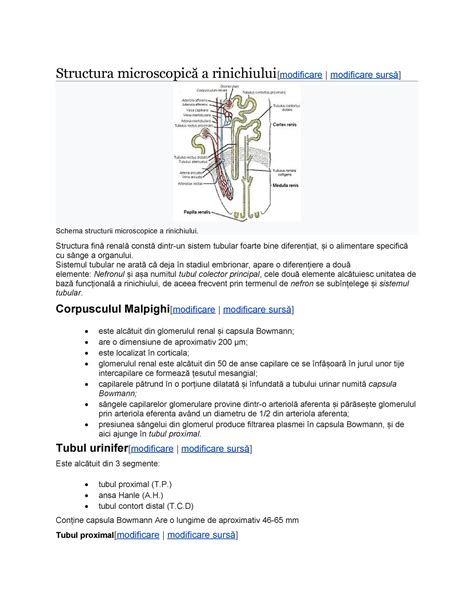Schema microscopică a spermatozoizilor