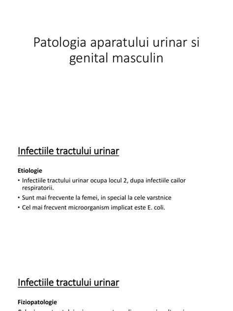 Schema aparatului urinar si a aparatului genital masculin