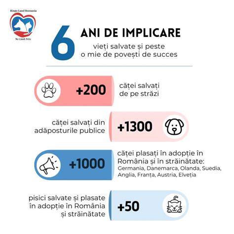 Infografic: mecanismele alergiice la animale (saliva, urina, pielea descuamată) and difuzia alergenilor în casă