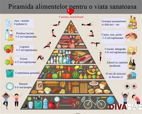 Infografic: piramida alimentelor pentru diversificarea la 7-9 luni