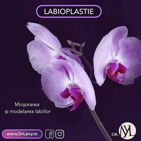 Himenoplastie și labioplastie - opțiuni imagine
