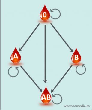 Schema grupelor sanguine ABO