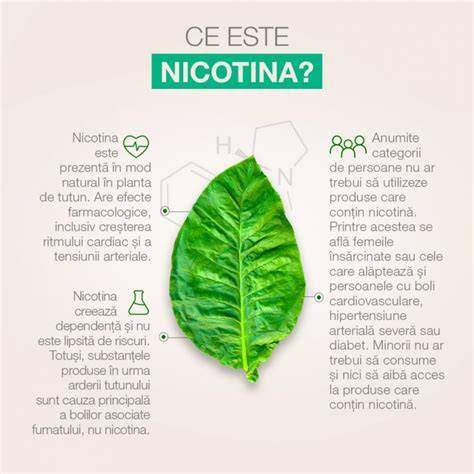 Infografic: mecanismele nocive ale fumatului în sarcină (nicotina, monoxid de carbon, efectele asupra placentei și fătului)
