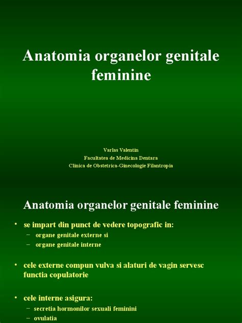 Anatomia organelor reproducătoare feminine