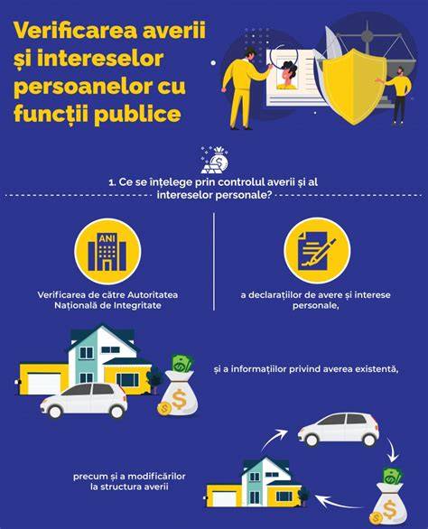 Infografic privind fluxul de delegare a sarcinilor în licitații publice