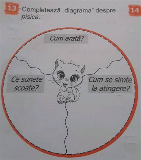 Infografic: 