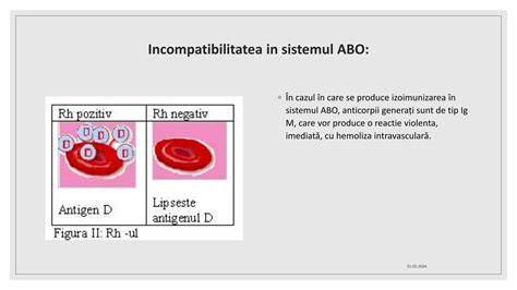 Infografic: Sistemul ABO și Rh, modul în care antigenele A/B și antigenul D influențează transfuzia