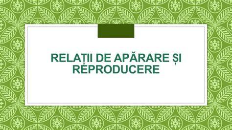 Diagrama opțiunilor de reproducere asistată la vârste înaintate