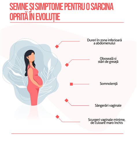 Infografic: ciclu sarcină și etapele avortului spontan