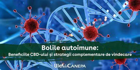 Infografic despre factorii genetici în bolile autoimune