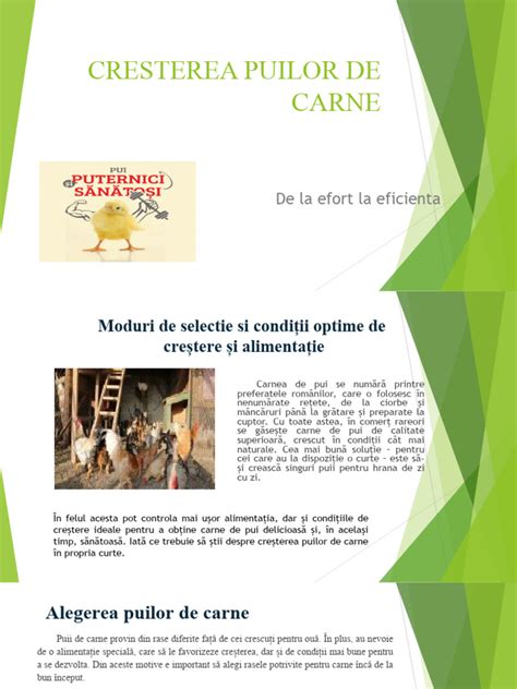 Infografic cu etapele de dezvoltare a puilor marini (naștere, deschiderea ochilor, trecerea la hrană solidă, schimbarea dinților, maturitatea sexuală)