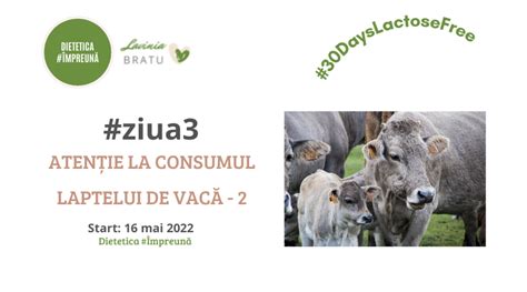 Infografie: Criterii pentru introducerea laptelui de vacă în diversificare