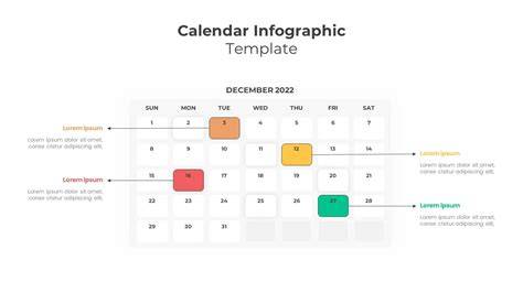 infografic calendar ecografii trimestriale