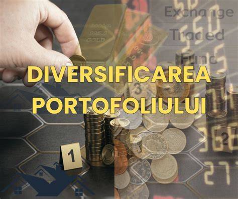 Infografic: componentele unui portofoliu diversificat