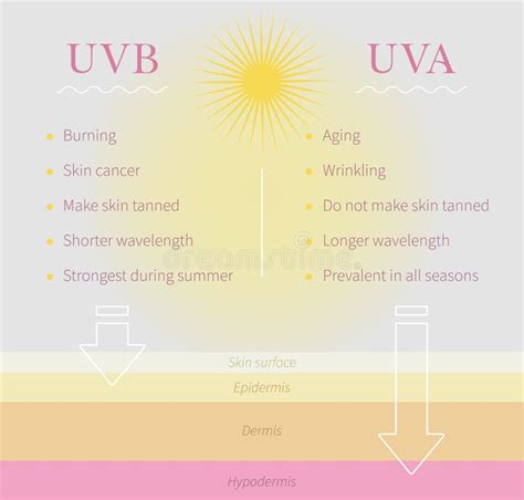 Card informativ: comparație UVA vs UVB și impactul asupra pielii bebelușului