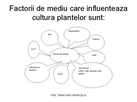 Mapa mentală: mecanismele impactului factorilor de mediu asupra fertilității masculine
