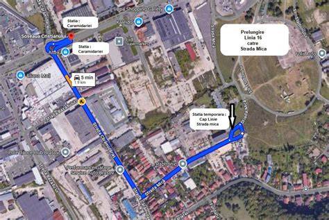 Infografic: linia temporala a carierei Cristinei Săvulescu