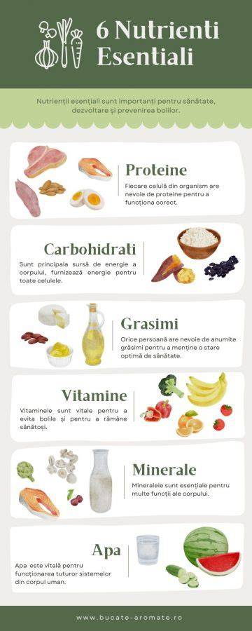 Infografic: Flux de nutrienți esențiali în timpul sarcinii