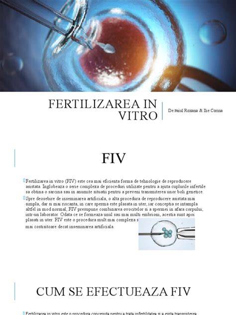 Infografic: Etapele fertilizării in vitro și transferul embrionilor