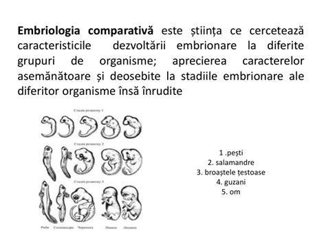 Diagrame ale etapelor dezvoltării embrionare (zigot → blastocist → embrion) și a evoluției fătului în sarcină