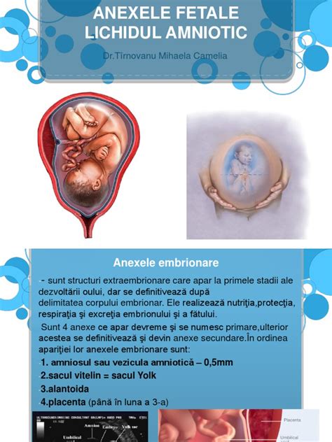 Schema lichidului amniotic în sacul amniotic