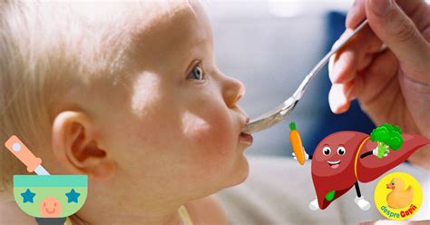 pui cu legume pentru bebelusi