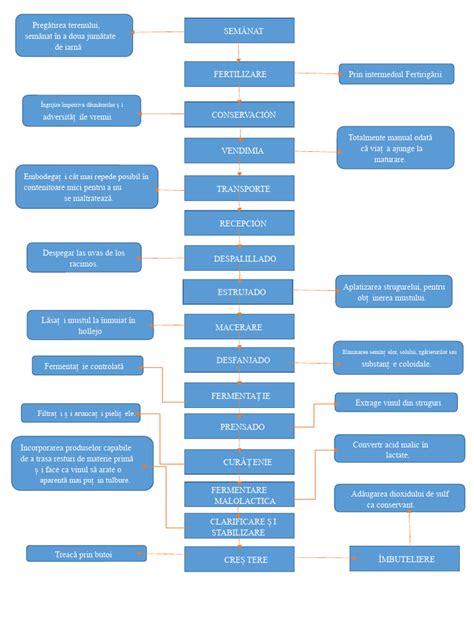 Diagrama procesului de fertilizare in vitro și etapele embrionare
