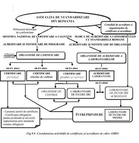 Grafic reprezentativ despre traseul de certificare si avizele CMR