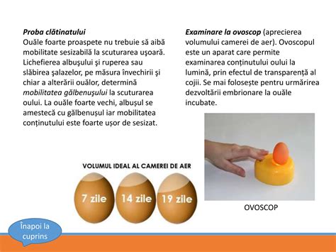 Infografic cu beneficiile oului pentru bebeluși