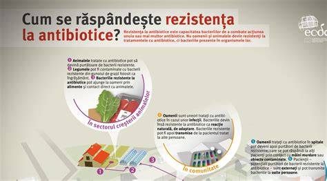 Infografic: cum se răspândește o răceală în familie