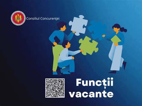 Infografic: Criterii generale pentru ocuparea funcțiilor publice