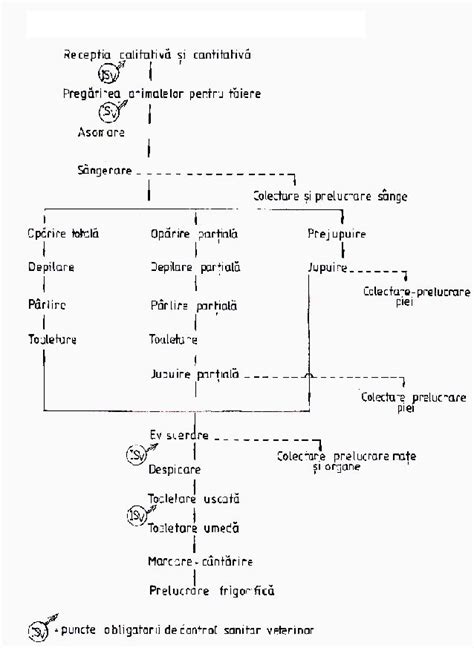 Schema fluxului de interventie in avort septic