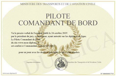 Organigramă roluri la bord: comandant, consiliu de bord, ofițeri