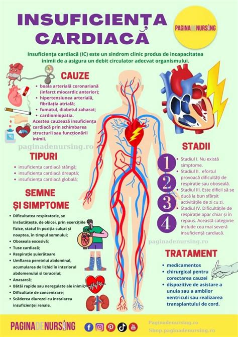 Infografic: traseul pacientului cu insuficiență cardiacă la copil, de la suspectare la management