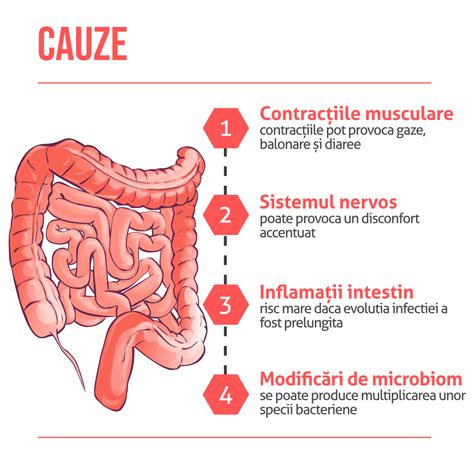 Infografic: Factori-cheie ai colon iritabil în sarcină