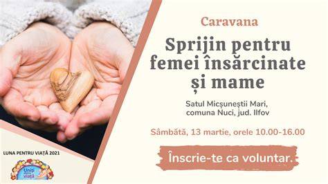 Rețea de sprijin pentru mame însărcinate