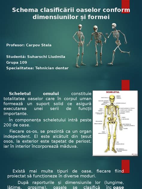 Schema clasificării osteocondrodisplaziilor