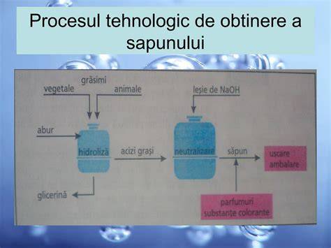 Imagine: procesul de crioprezervare si embriotransfer
