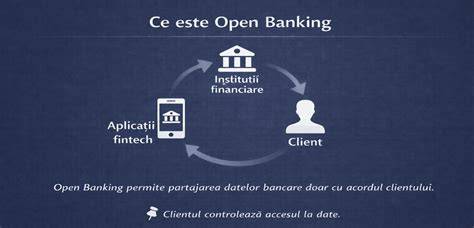 Infografic: Fluxul operațional al plăților în Online Banking