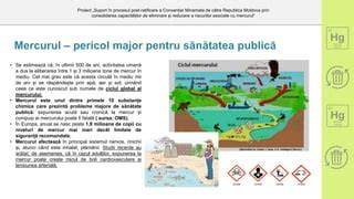 Infografic: Peste cu mercur - niveluri și recomandări