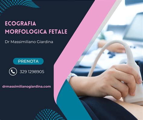 Ilustrație schemă a anatomiei fetale vizibile la ecografia morfologică