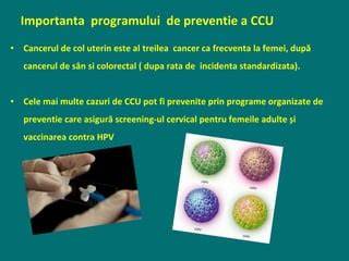 Infografic: Ciclul screening-ului pentru cancerul cervical si rolul HPV