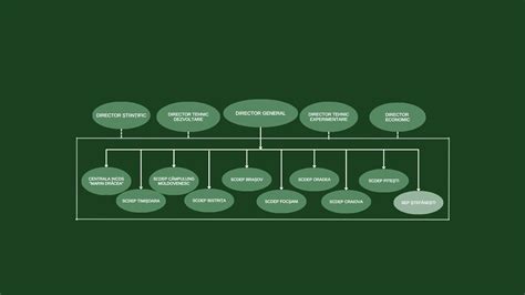 Diagrame informative despre structură organizațională, relațiile postului în echipă