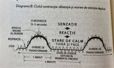 Diagramă: Croieli recomandate pentru sarcină (empire, sub sâni, caftan) și efectul asupra confortului
